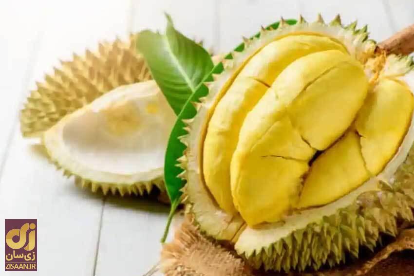 ۸ میوه عجیب و غیر معمول دنیا + عکس دوریان