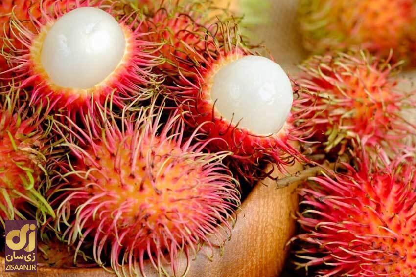 ۸ میوه عجیب و غیر معمول دنیا + عکس رامبوتان