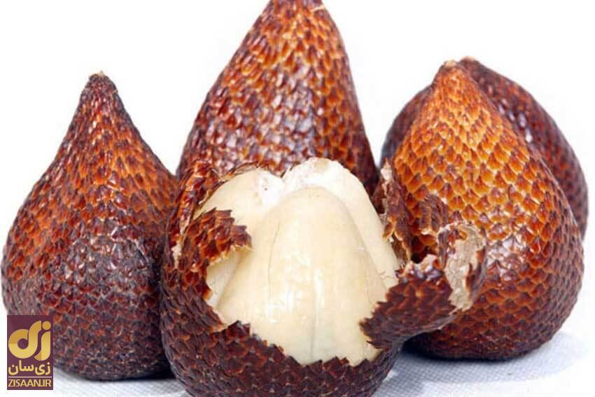 ۸ میوه عجیب و غیر معمول دنیا + عکس سالک