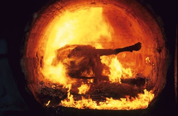 شیوع یک بیماری ترسناک در حیات وحش آمریکا شیوع یک بیماری ترسناک در حیات وحش آمریکا