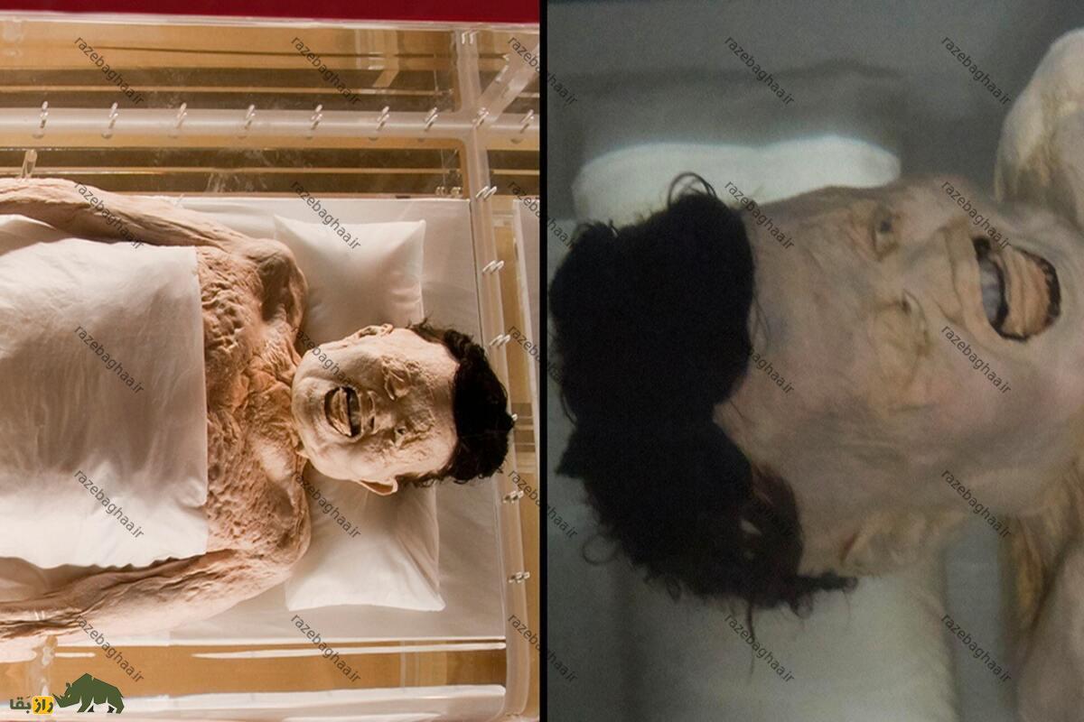 راز مومیایی بانو دای: سالمترین مومیایی جهان چطور نگهداری میشود؟ راز مومیایی بانو دای: سالمترین مومیایی جهان چطور نگهداری میشود؟