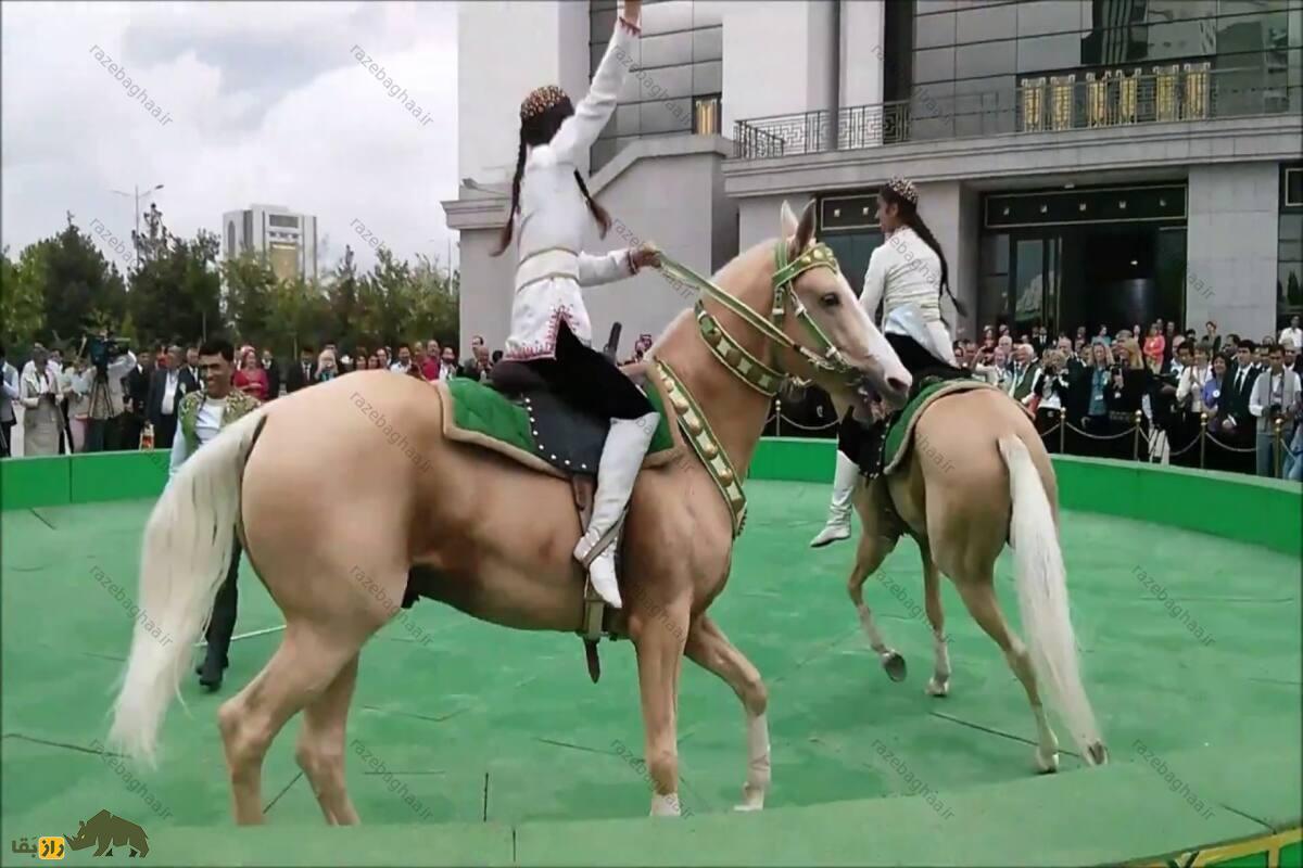 دو زن درحال اسب سواری اسب نَسایی