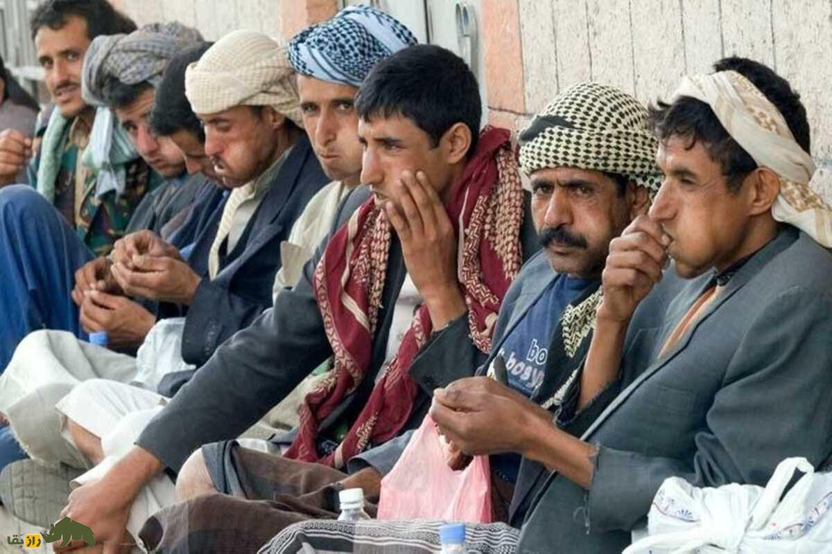 قات: نگاهی عمیق به تاریخچه، مصرف و خواص مخدر آن قات: نگاهی عمیق به تاریخچه، مصرف و خواص مخدر آن
