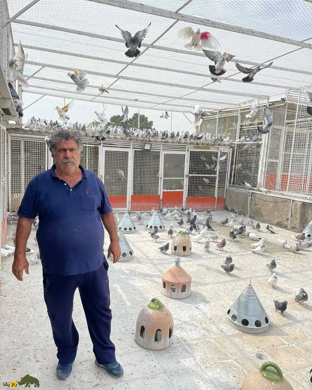 حاج عبدالله زواره معروف به «کوهی»؛ چهره ماندگار دنیای کبوتربازی ایران که ۴۰۰۰ هزار کبوتر را هزمان باهم پراند