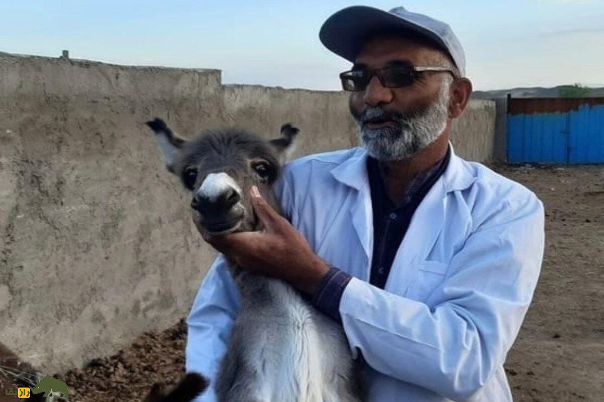 علیاکبر حاجی جمهوری؛ سلطان خر ایران و صاحب مرزعه «سُم طلا» که اولین بار الاغهای ایران را بیمه کرد