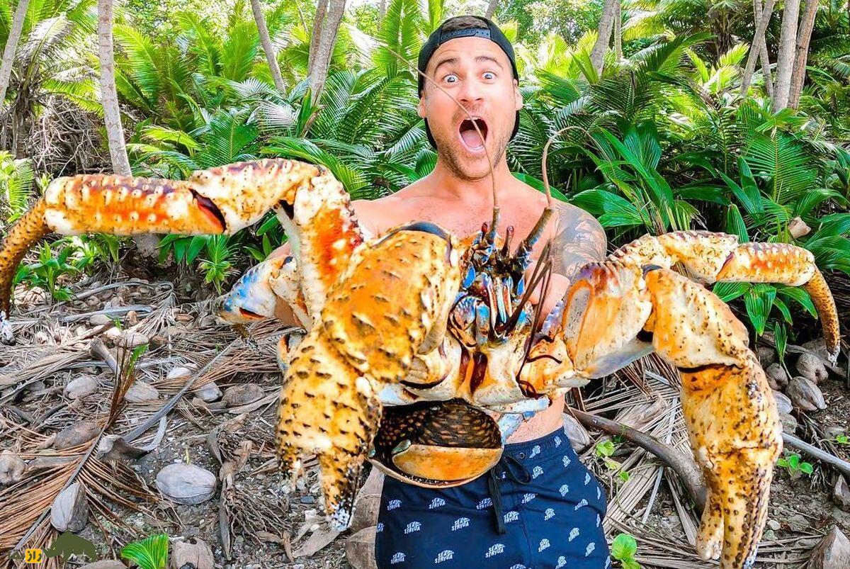 خرچنگ نارگیل؛ بزرگترین بندپای خشکی که یک متر پا و ۴ کیلو وزن دارد و یکی از ترسناکترین موجودات جهان است