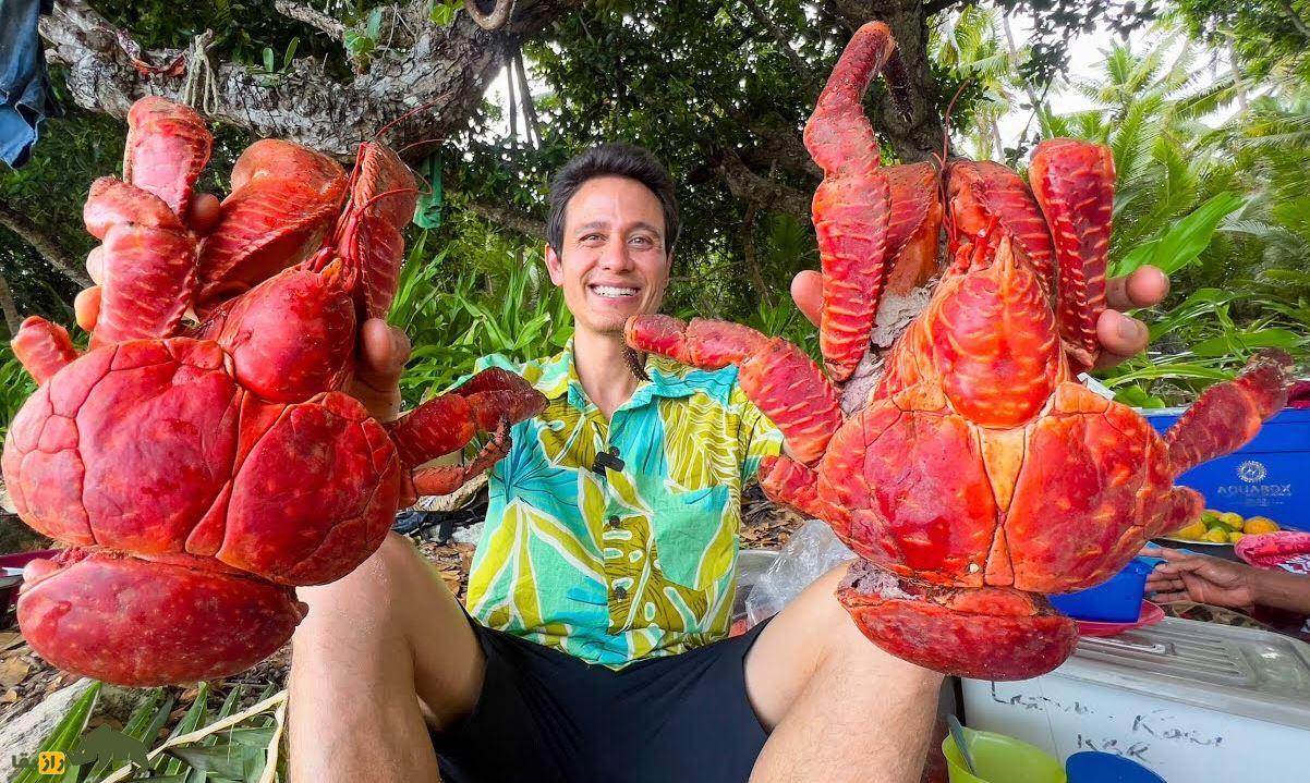 خرچنگ نارگیل؛ بزرگترین بندپای خشکی که یک متر پا و ۴ کیلو وزن دارد و یکی از ترسناکترین موجودات جهان است خرچنگ نارگیل