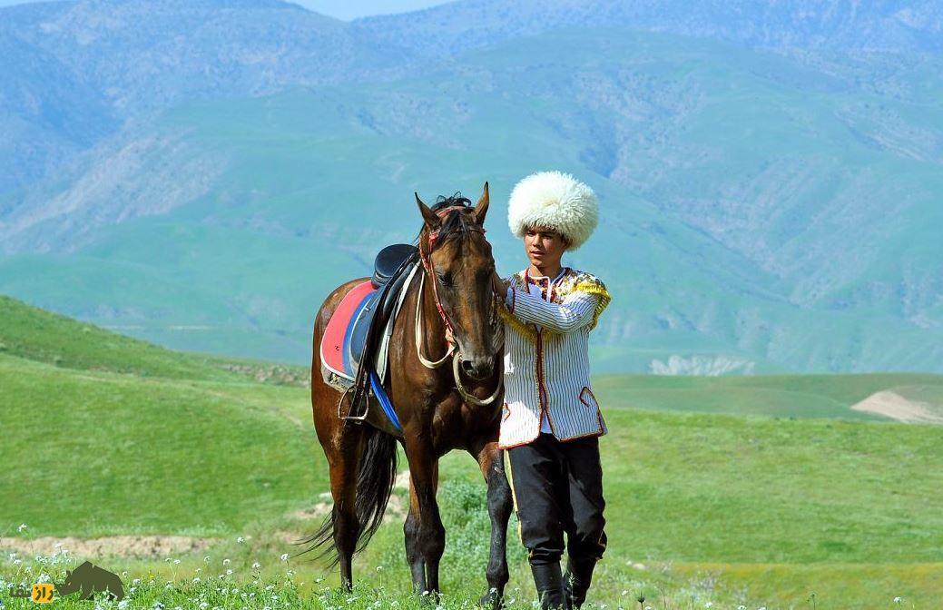 اسب ترکمن؛ یکی از قدرتمندترین اسبهای جهان و جد «آخال تکه» که اسب مشهور شاه عباس و نادر شاه بود اسب ترکمن