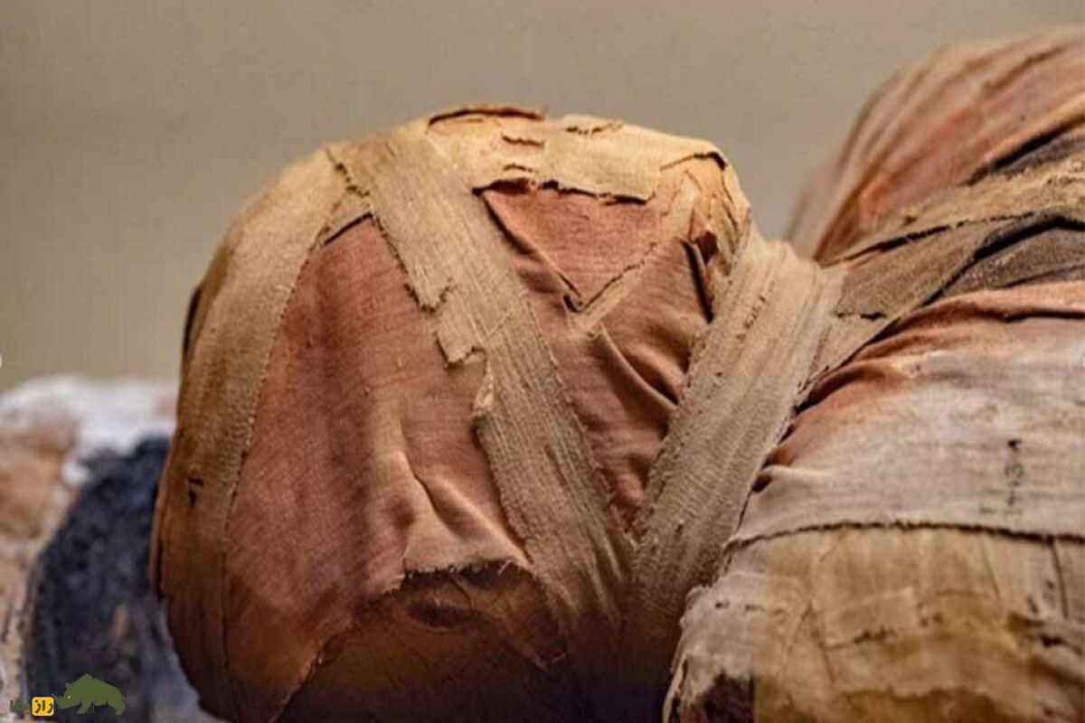 مومیایی کردن در چین؛ از مقبره‌های مهروموم‌شده تا اجساد غرق در عسل