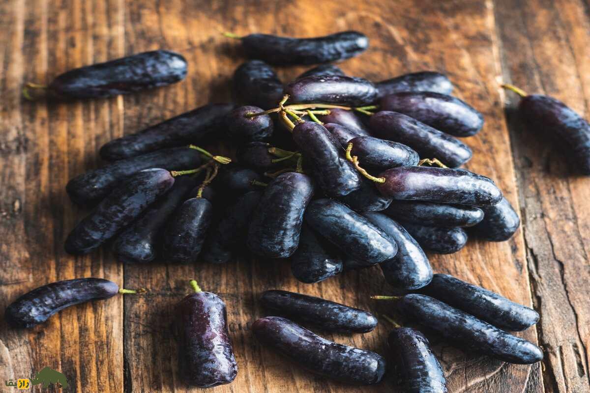انگور قطره ماه