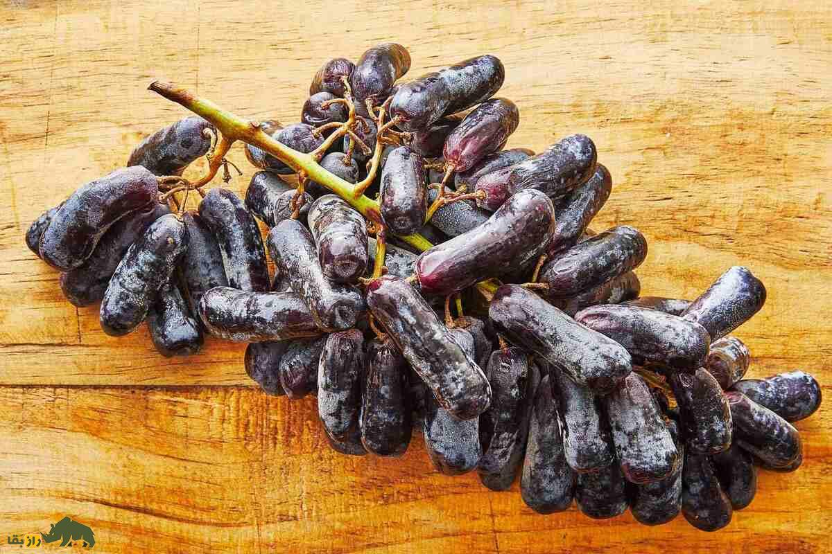 انگور قطره ماه