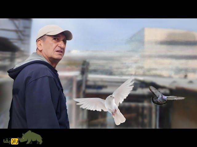 سیروس چناری؛ مشهورترین کبوترباز ایران و اروپا با رکورد ۱۹ ساعت و ۳۸ دقیقه که کبوتر سیاه رستاخیز را به وجود آورد سیروس چناری