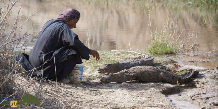 ملک‌ دینار شجره پدر تمساح‌های ایران