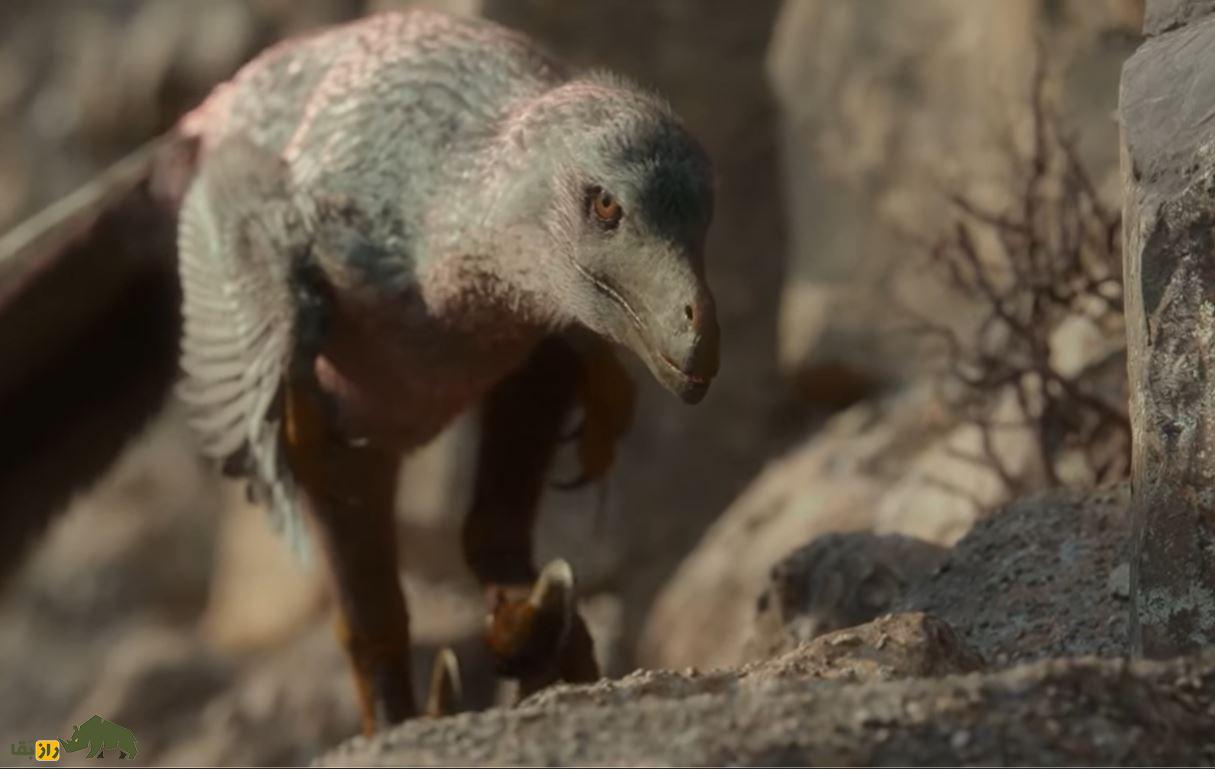 دزد چابک مغولستانی؛ تصاویری از پرنده قاتلی که اگر امروز زنده همه انسانها را میخورد! دزد چابک مغولستانی؛ تصاویری از پرنده قاتلی که اگر امروز زنده همه انسانها را میخورد!