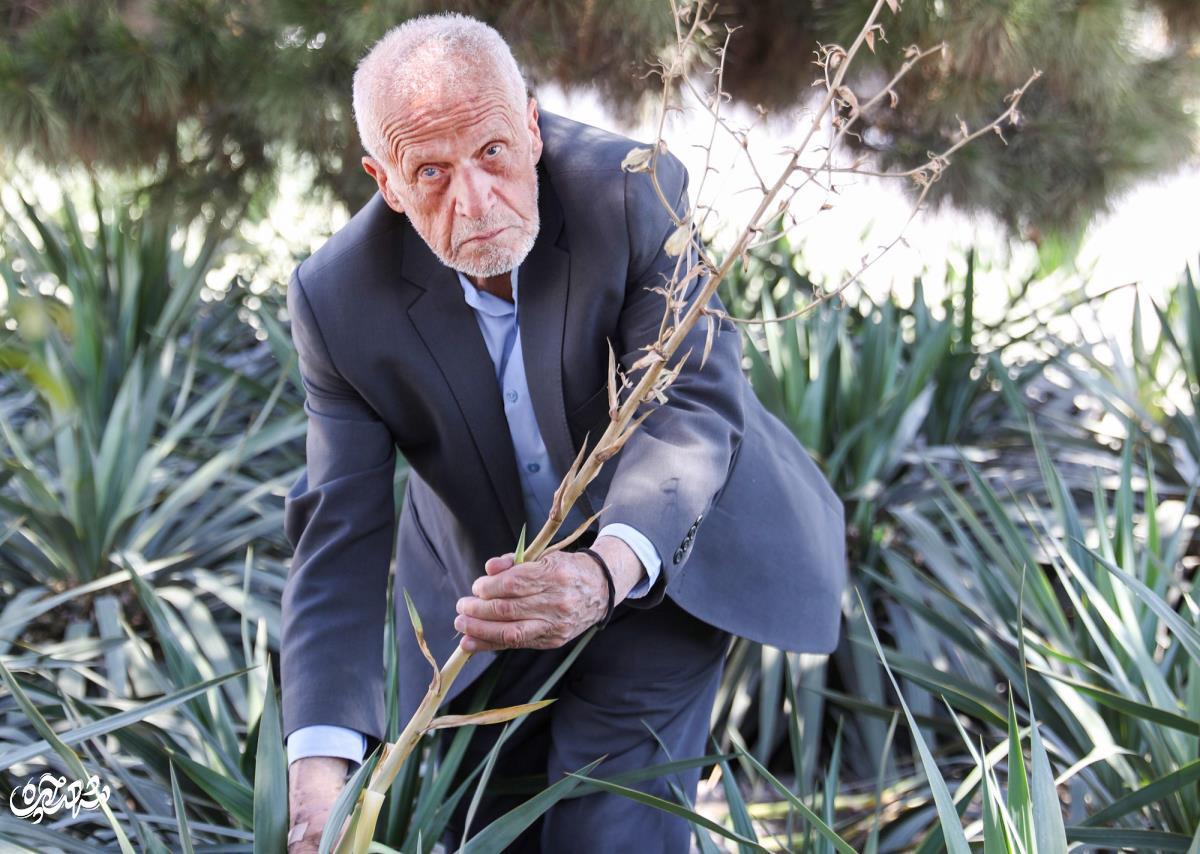 محمود دُرانی؛ پدر درختکاری مهشد که به تنهایی یک میلیون درخت کاشته است و هر روز با آنها حرف زند! محمود دُرانی؛ پدر درختکاری مهشد