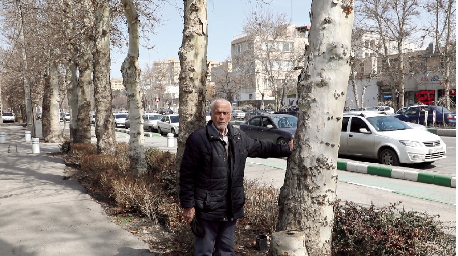 محمود دُرانی؛ پدر درختکاری مهشد که به تنهایی یک میلیون درخت کاشته است و هر روز با آنها حرف زند! محمود دُرانی؛ پدر درختکاری مهشد که به تنهایی یک میلیون درخت کاشته است و هر روز با آنها حرف زند!