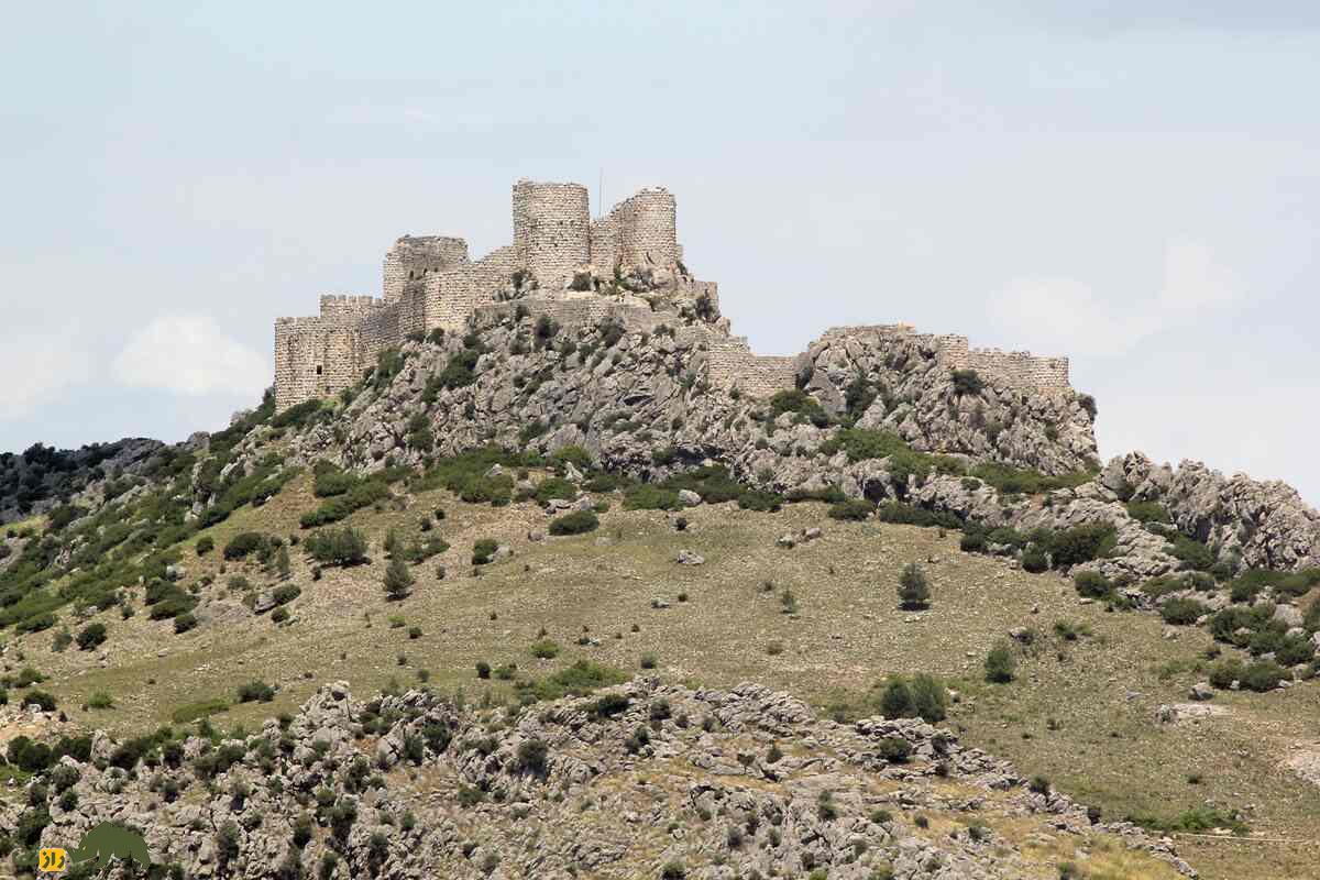 داستان شاهماران؛ موجودی نیمهانسان، نیمهمار با قدرتهای مرموز داستان شاهماران؛ موجودی نیمهانسان، نیمهمار با قدرتهای مرموز