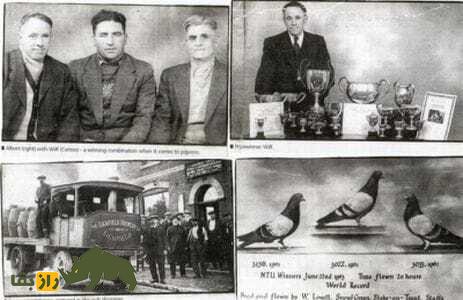 ویلف لاوات