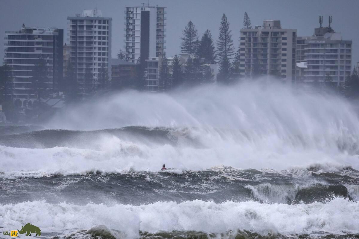 چگونه حیوانات طوفان‌ها را پیش‌بینی می‌کنند؟