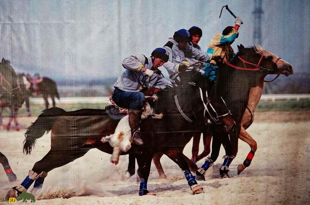 اسب کوستانای؛ اسب معروف قزاقستانی که بهترین ترکیب سرعت و استقامت جهان را دارد اسب کوستانای