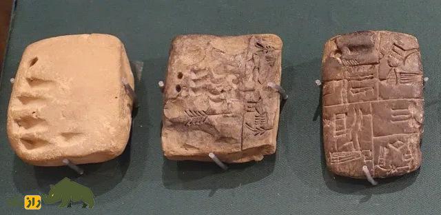 «کونگا»؛ حیوان باستانی که نتیجه جفت‌گیری الاغ و اسب است، چطور بین‌النهرین را تکان داد؟