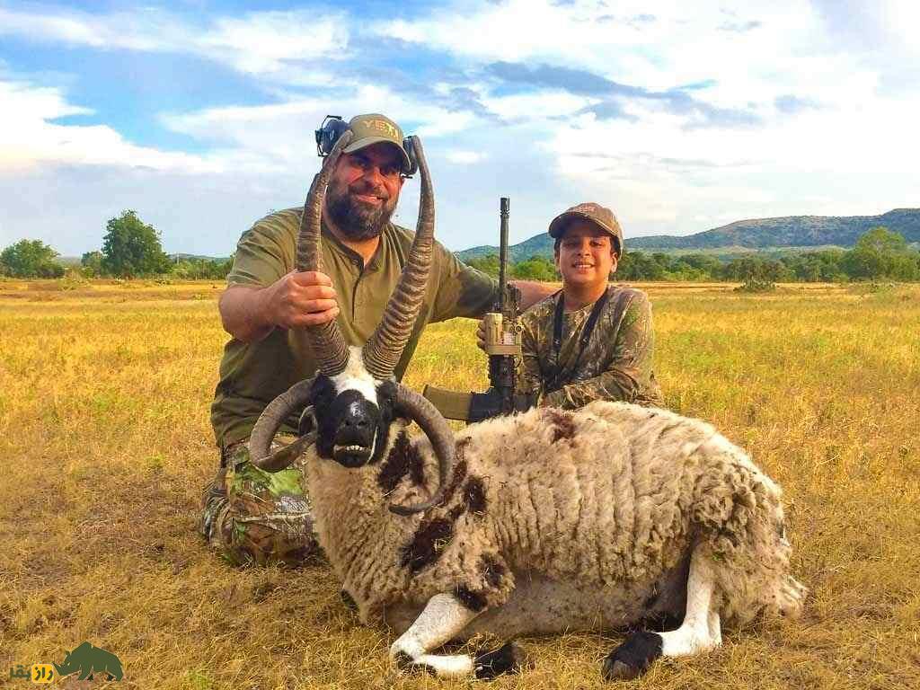 گوسفند «یعقوب»؛ گوسفندی چهار شاخ با ریشه یهودی گوسفند «یعقوب»؛ گوسفندی چهار شاخ با ریشه یهودی