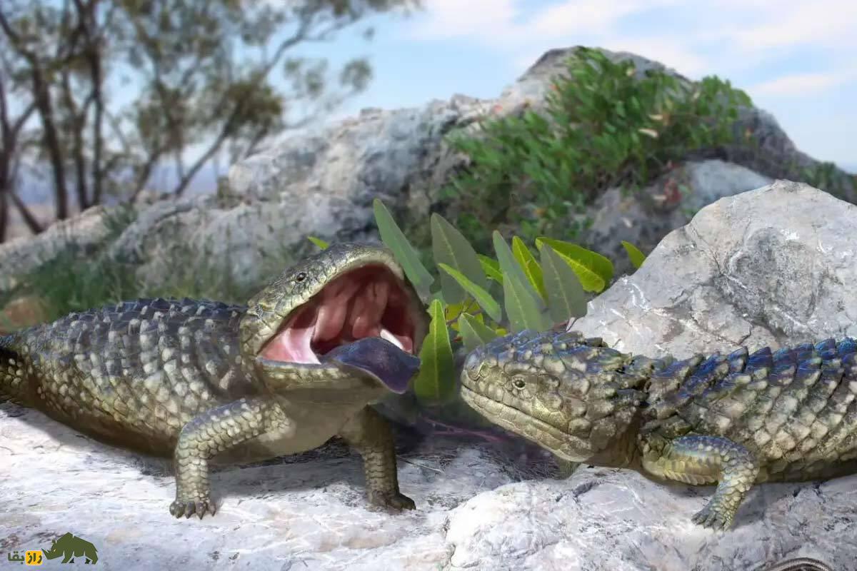 بازگشت مردگان: با ۱۰ حیوان که منقرض شده بودند اما دوباره زنده شدند ملاقات کنید