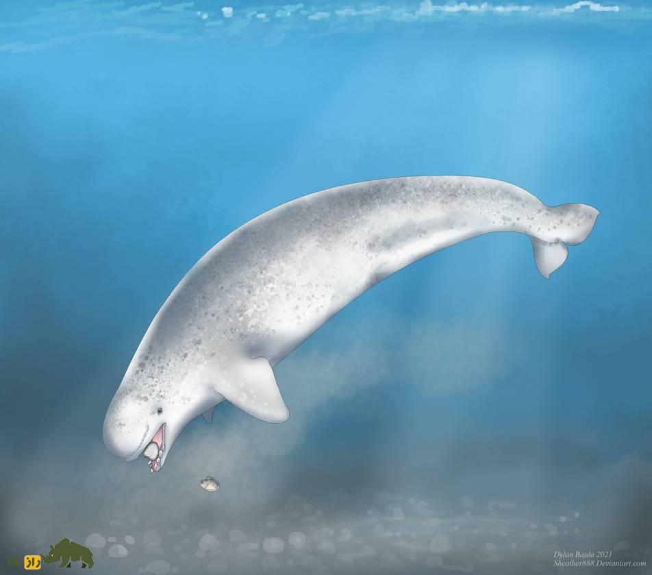 «نارلوگا»؛ حیوانی خارق‌العاده که نتیجه جفت‌گیری عجیب دو موجود دریایی است!