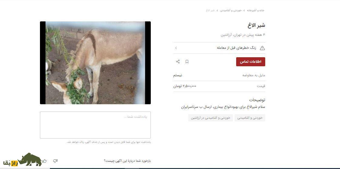 پنیر الاغ ۶۰ میلیون تومانی در تهران که صبحانه ثروتمندان ایرانی است پنیر الاغ ۶۰ میلیون تومانی در تهران که صبحانه ثروتمندان ایرانی است