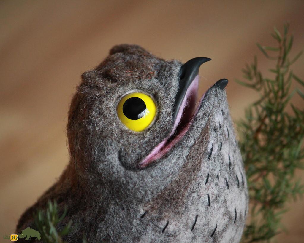 «پوتو» یا «پرنده ارواح»؛ پرنده عجیبی که شبیه قورباغه است و منجمد میشود «پوتو» یا «پرنده ارواح»؛ پرنده عجیبی که شبیه قورباغه است و منجمد میشود