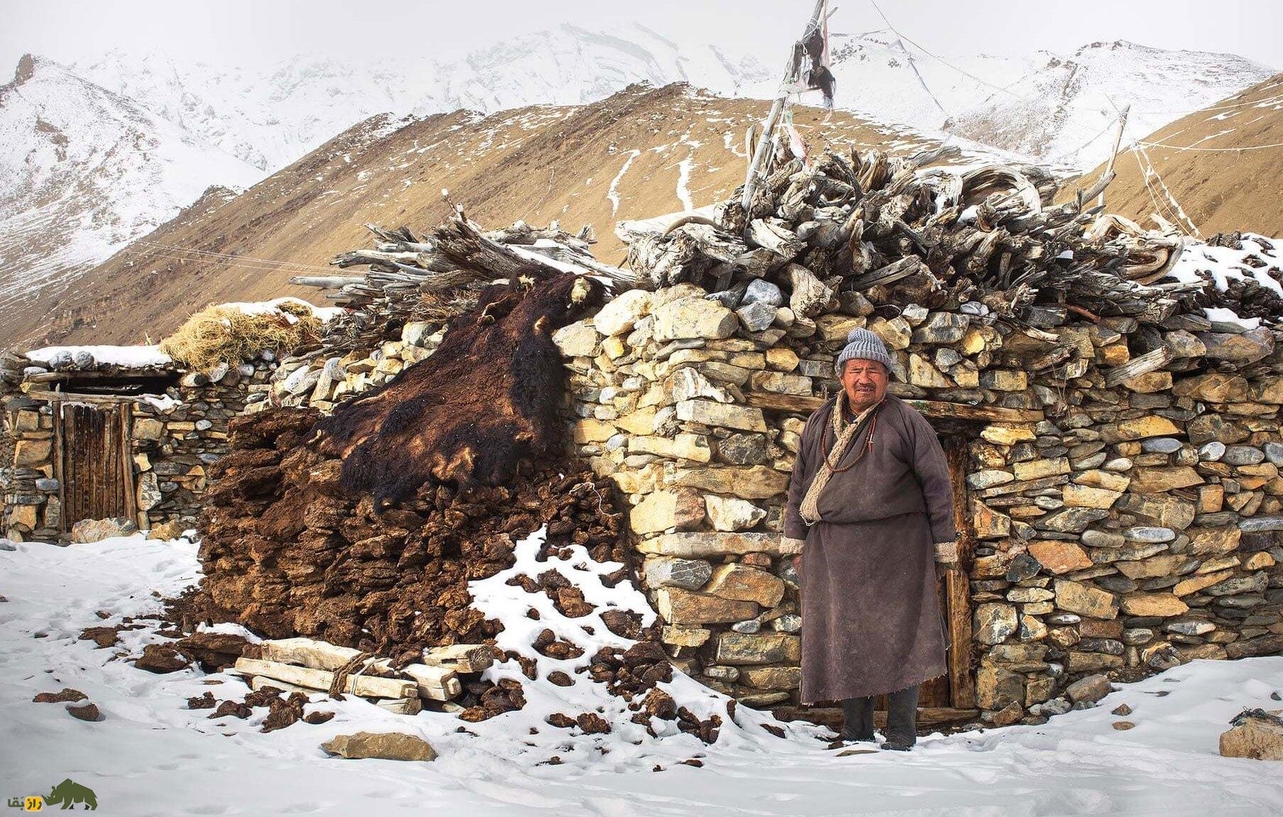 «بز کشمیری»؛ بز محبوبی که جان میلیون‌ها انسان از هیمالیا تا بریتانیا را از مرگ نجات داده است!