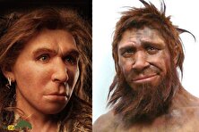 آیا انسان‌های اولیه یکدیگر را می‌بوسیدند؟