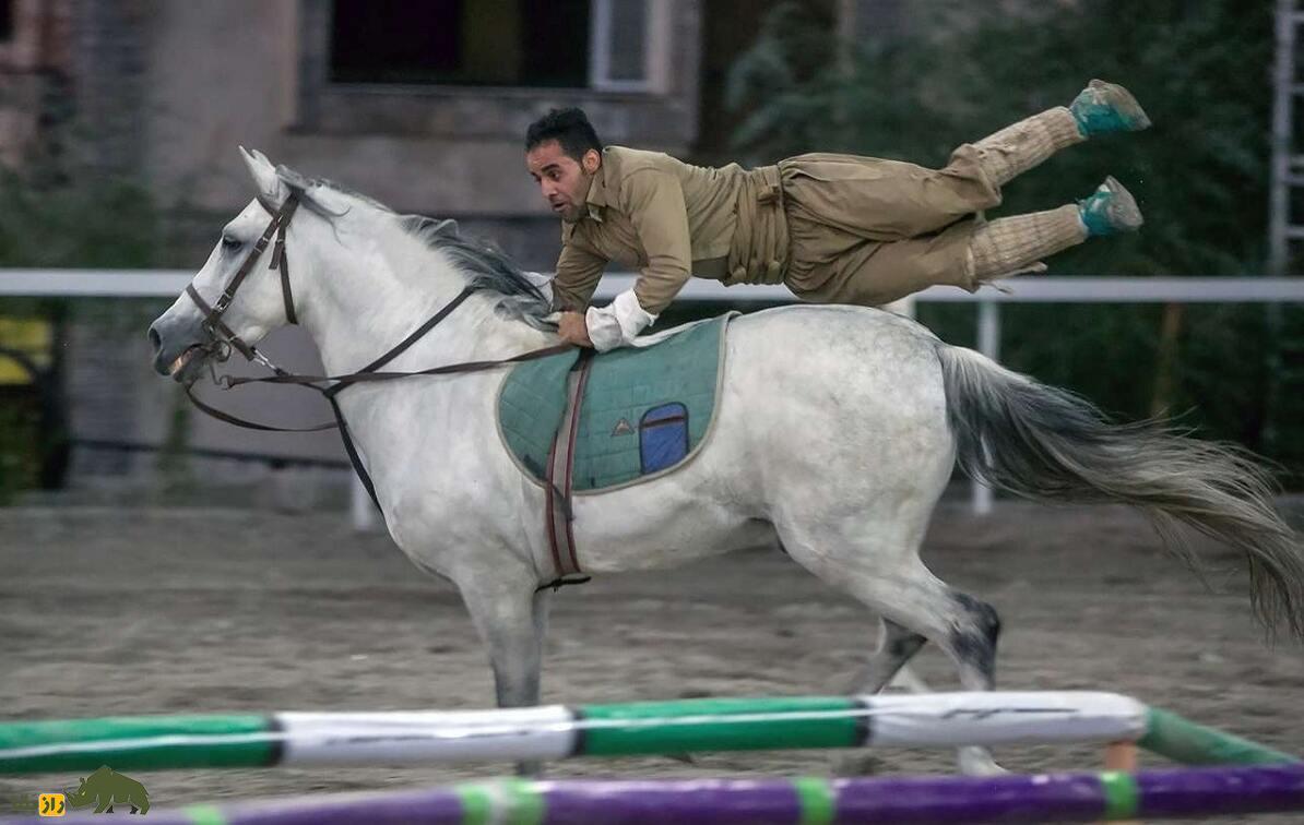 اسب «کرد»؛ اسب اصیل چندهزار ساله؛ کدام اسب بهتر است؛ جاف، افشاری یا سنجابی؟! اسب «کرد»؛ اسب اصیل چندهزار ساله؛ کدام اسب بهتر است؛ جاف، افشاری یا سنجابی؟!