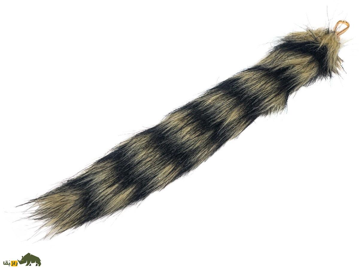 ویژگی‌های عجیب «دم راکون» که هرگز آن‌ها را نمی‌دانید