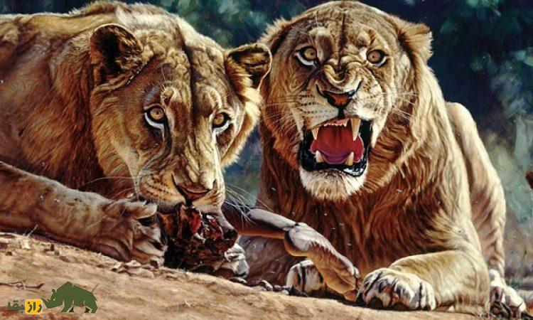 شیر‌های آدم‌خوار؛ داستان هولناک دو شیر غول‌پیکر که ۳۰ کارگر را زنده زنده خوردند!