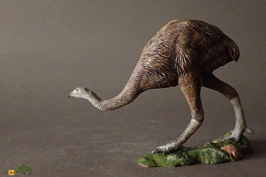 موآ؛ پرنده غولپیکر با ۴ متر قد و ۲۳۰ کیلوگرم که پدربزرگ شترمرغ بود موآ؛ پرنده غولپیکر با ۴ متر قد و ۲۳۰ کیلوگرم که پدربزرگ شترمرغ بود