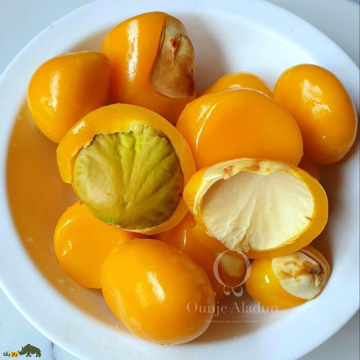 کولای میمونی؛ میوه نیجریهای ترش و شیرینی که میمونها عاشق آن هستند کولای میمونی