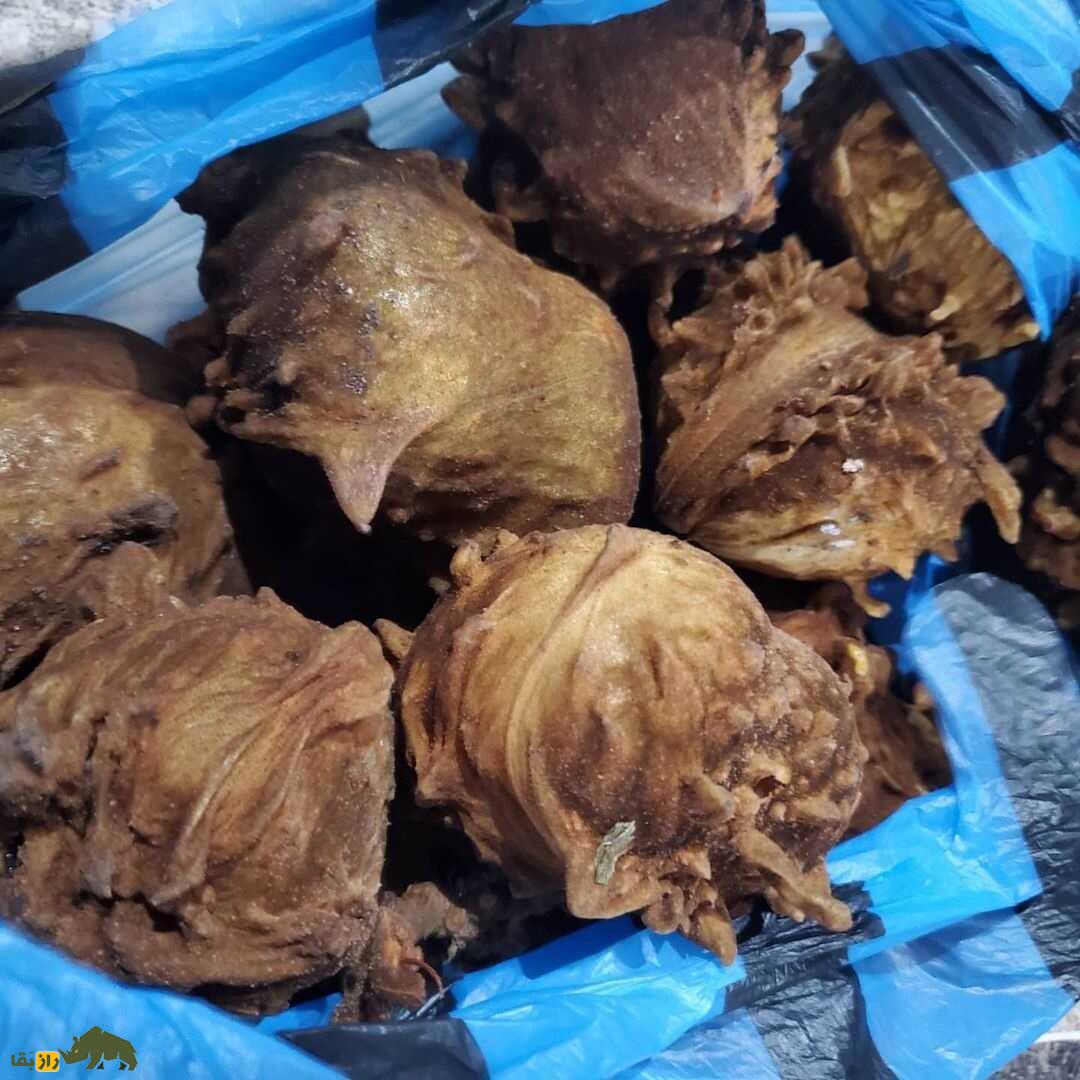 کولای میمونی؛ میوه نیجریهای ترش و شیرینی که میمونها عاشق آن هستند کولای میمونی خام و شکافته نشده