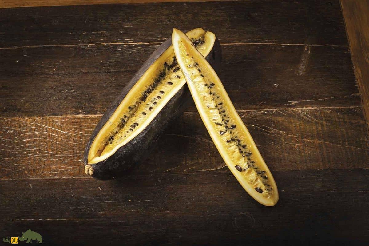 خیار مُشک سیاه نصف شده