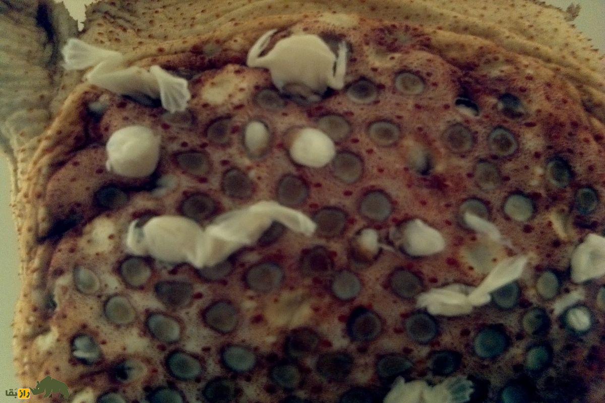 قورباغه سورینام، زشتترین قورباغه دنیا که از کمرش زایمان میکند قورباغه سورینام، زشتترین قورباغه دنیا که از کمرش زایمان میکند