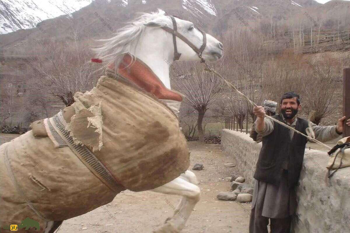 مردی که افسار یک اسب سفید را می‌کشد