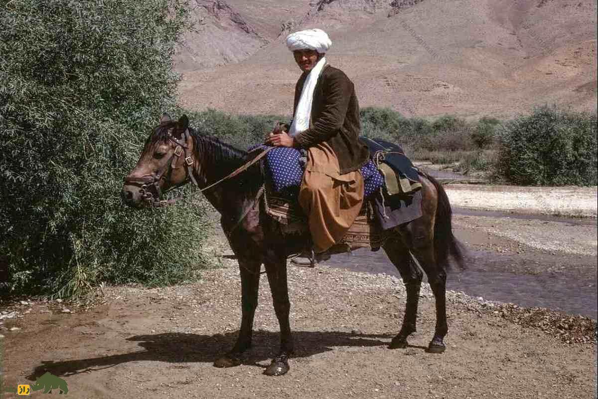 مرد افغانستانی نشسته روی یک اسب سیاه در کنار رودخانه