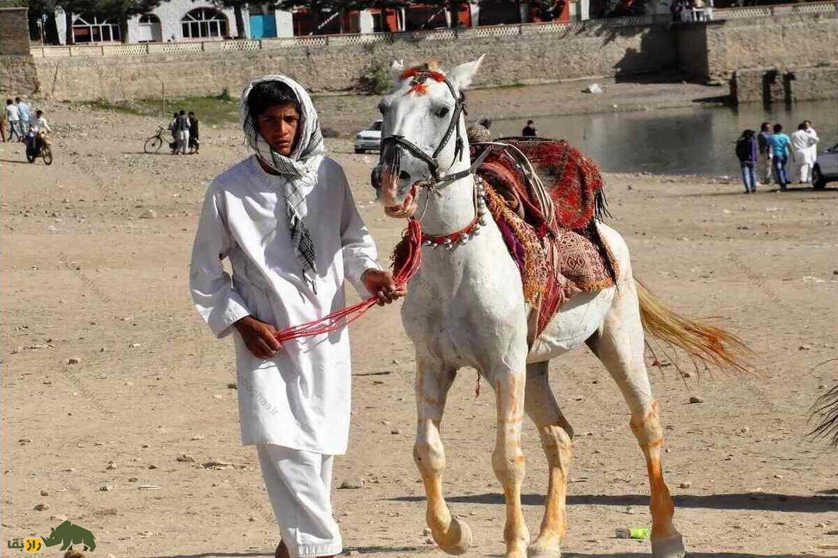 اسب سفیدی که افسارش به دست یک نوجوان افغانستانی است