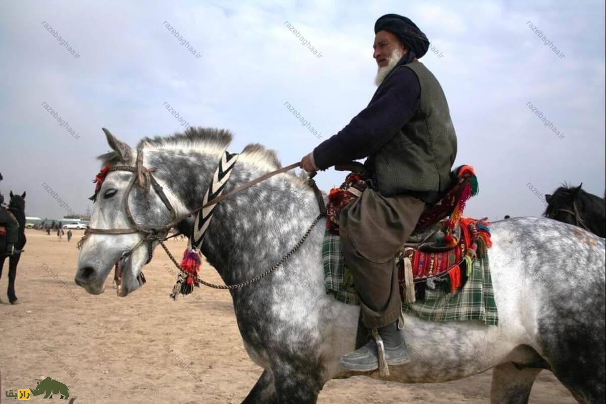 مرد افغانستانی نشسته روی یک اسب سفید با خال های سیاه