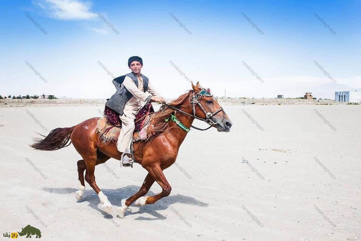 جوان افغانستانی نشسته روی یک اسب قهوه‌ای در حال دویدن