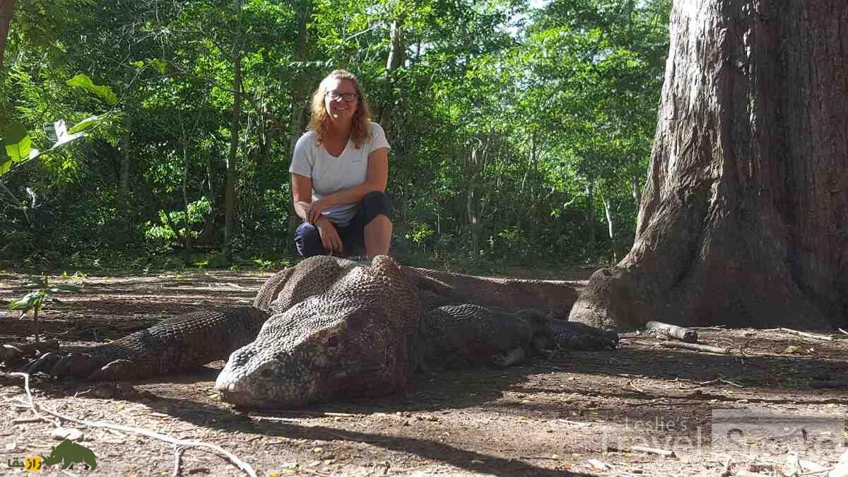ماجرای زن معروف به «دکتر اژدها» که «اژدهای کومودو» را به صرف چای دعوت کرد تصویر اژدهای کومودو با یک زن