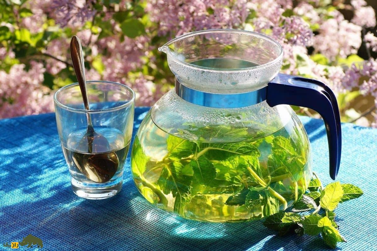 خواص شگفت‌انگیز نوشیدنی‌های گیاهی که زندگی شما را متحول می‌کند!