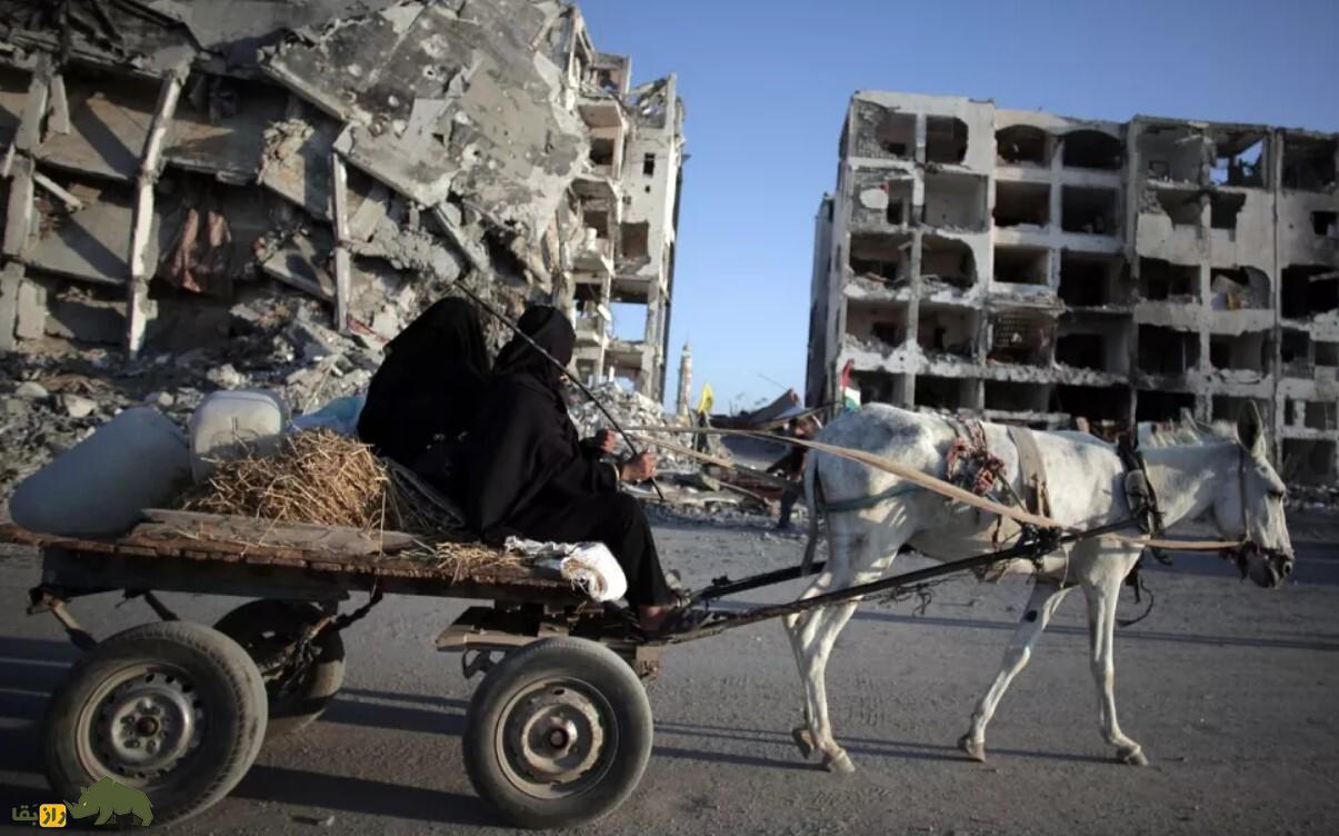 خرها باارزشتر از طلا؛ حیوانی که در کمبود سوخت ناجی جنگزدگان غزه است دو زن سوار بر یک گاری که خری سفید آن را می کشد در شهر غزه
