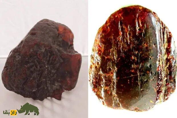 چهار کیلو جواهر؛ سنگی که ۳۰ سال جلوی در خانه روستایی بود گنج یک میلیون دلاری از آب درآمد! چهار کیلو جواهر؛ سنگی که ۳۰ سال جلوی در خانه روستایی بود گنج یک میلیون دلاری از آب درآمد!