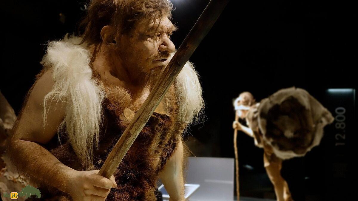 کشف ابزارهای رازآلود نئاندرتالها؛ نیاکان نخستین ما چطور به چین رسیده بودند؟ کشف ابزارهای رازآلود نئاندرتالها؛ نیاکان نخستین ما چطور به چین رسیده بودند؟